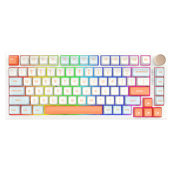 VGN N75Ϸƻеgasketṹ75%ȫȲ