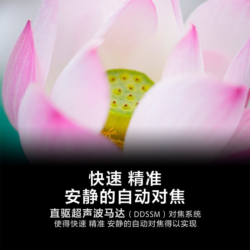 ӪSony/FE24-105mm F4 G OSSȫ׼GͷSEL24105G